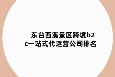 东台西溪景区跨境b2c一站式代运营公司排名