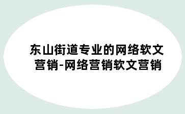 东山街道专业的网络软文营销-网络营销软文营销