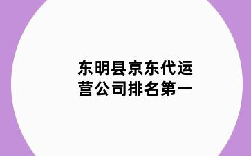 东明县京东代运营公司排名第一