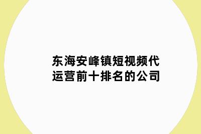 东海安峰镇短视频代运营前十排名的公司