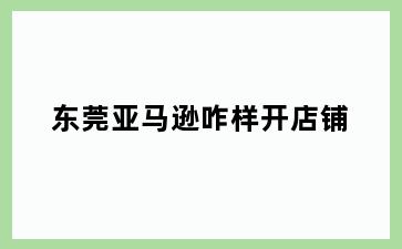 东莞亚马逊咋样开店铺