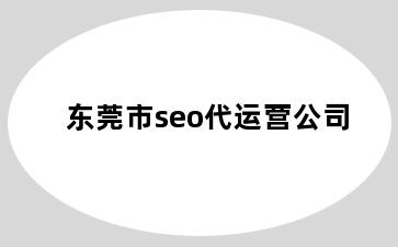 东莞市seo代运营公司