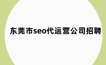 东莞市seo代运营公司招聘