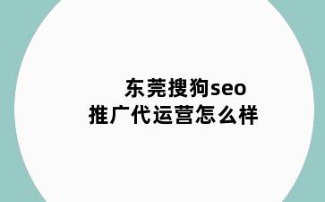 东莞搜狗seo推广代运营怎么样