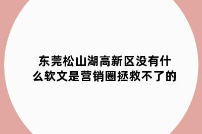 东莞松山湖高新区没有什么软文是营销圈拯救不了的