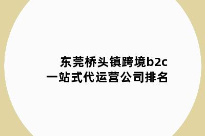 东莞桥头镇跨境b2c一站式代运营公司排名