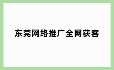 东莞网络推广全网获客