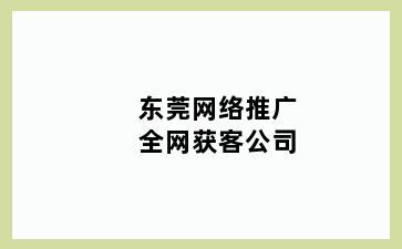 东莞网络推广全网获客公司