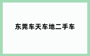 东莞车天车地二手车
