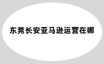 东莞长安亚马逊运营在哪