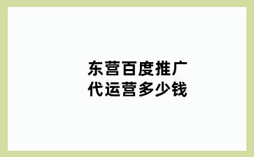 东营百度推广代运营多少钱