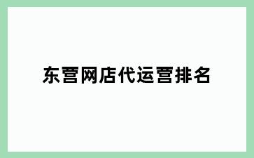 东营网店代运营排名