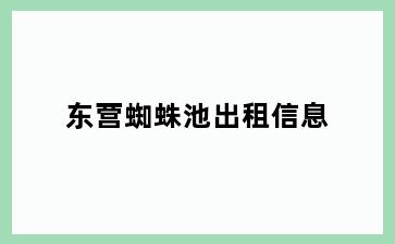 东营蜘蛛池出租信息