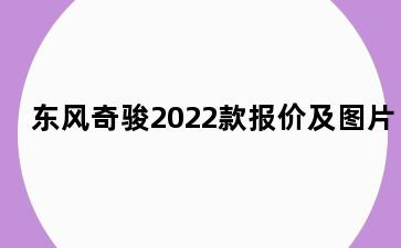 东风奇骏2022款报价及图片