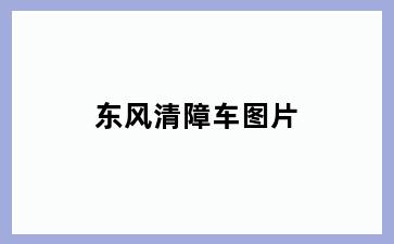 东风清障车图片