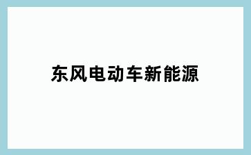 东风电动车新能源