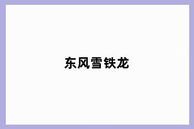东风雪铁龙