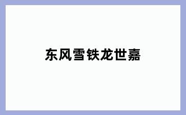 东风雪铁龙世嘉