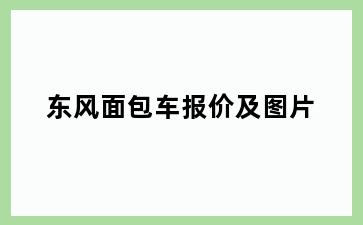 东风面包车报价及图片