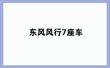 东风风行7座车