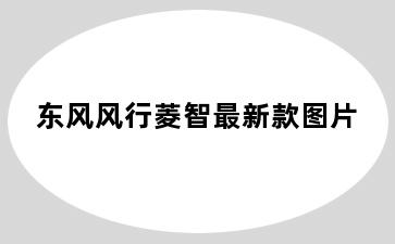 东风风行菱智最新款图片