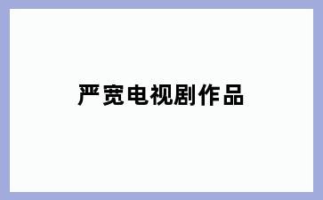 严宽电视剧作品