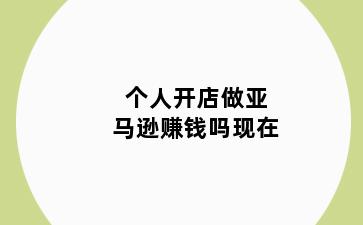 个人开店做亚马逊赚钱吗现在