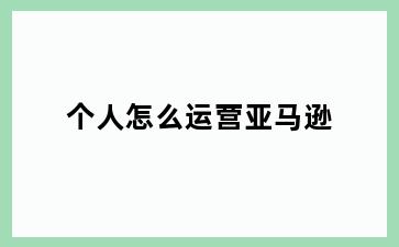 个人怎么运营亚马逊