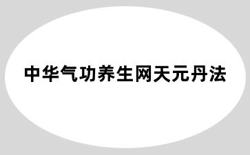 中华气功养生网天元丹法