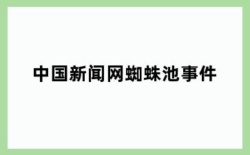 中国新闻网蜘蛛池事件