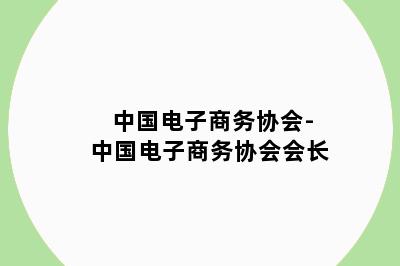 中国电子商务协会-中国电子商务协会会长