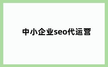 中小企业seo代运营