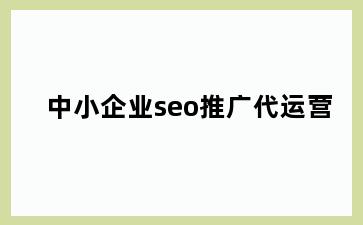 中小企业seo推广代运营
