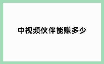 中视频伙伴能赚多少
