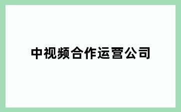 中视频合作运营公司