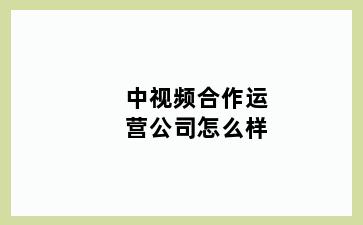 中视频合作运营公司怎么样