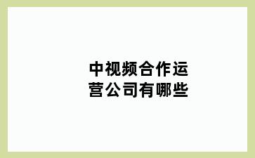 中视频合作运营公司有哪些