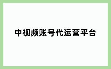 中视频账号代运营平台