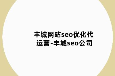 丰城网站seo优化代运营-丰城seo公司