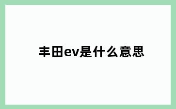 丰田ev是什么意思