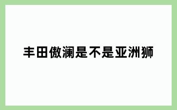 丰田傲澜是不是亚洲狮