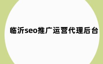 临沂seo推广运营代理后台