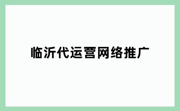 临沂代运营网络推广