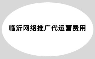 临沂网络推广代运营费用