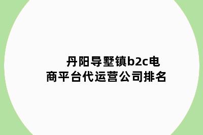 丹阳导墅镇b2c电商平台代运营公司排名