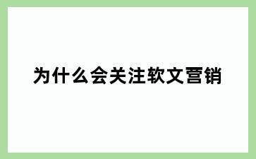为什么会关注软文营销