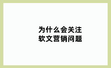 为什么会关注软文营销问题