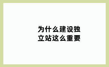 为什么建设独立站这么重要