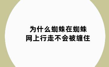 为什么蜘蛛在蜘蛛网上行走不会被缠住