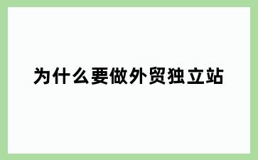 为什么要做外贸独立站